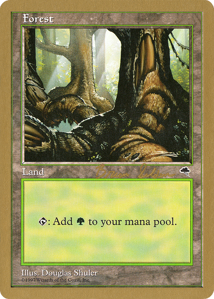 Forest — World Championship Decks 1998 — Magic: The Gathering