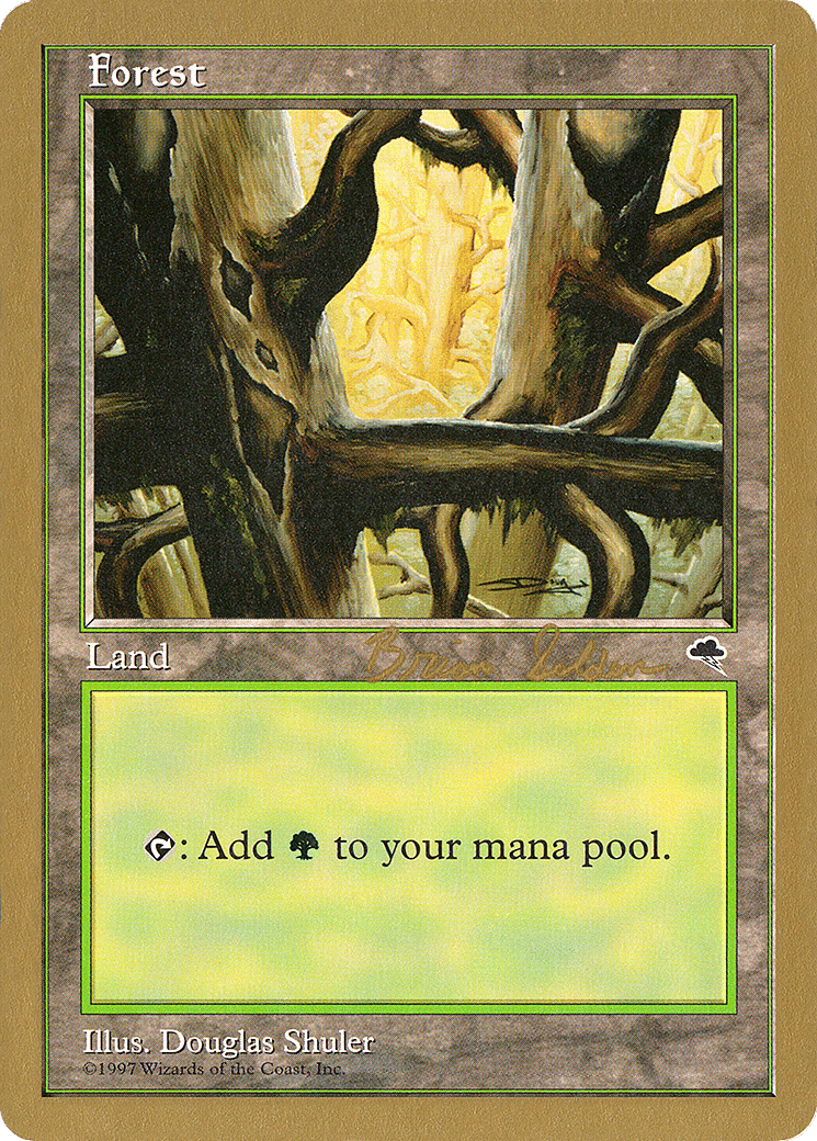 Forest — World Championship Decks 1998 — Magic: The Gathering