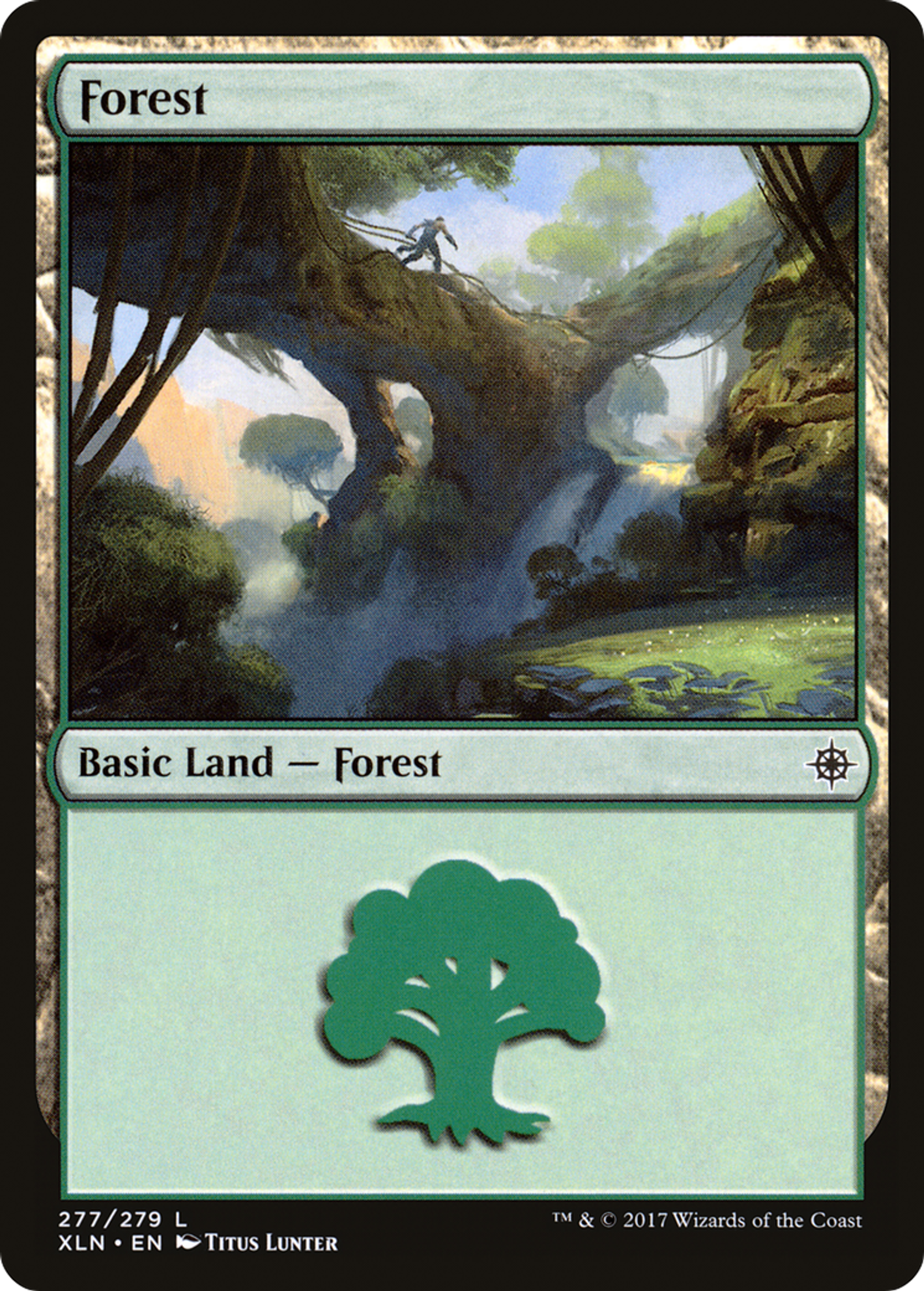 Forest — Ixalan — Magic: The Gathering