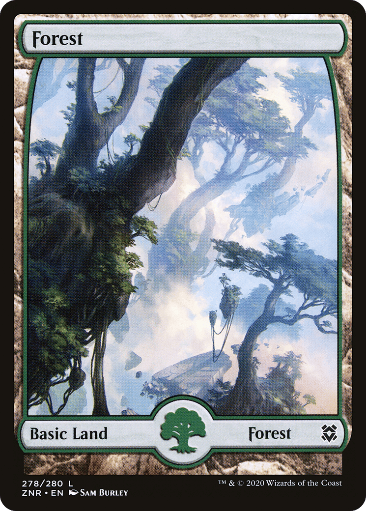 Forest — Zendikar Rising — Magic: The Gathering