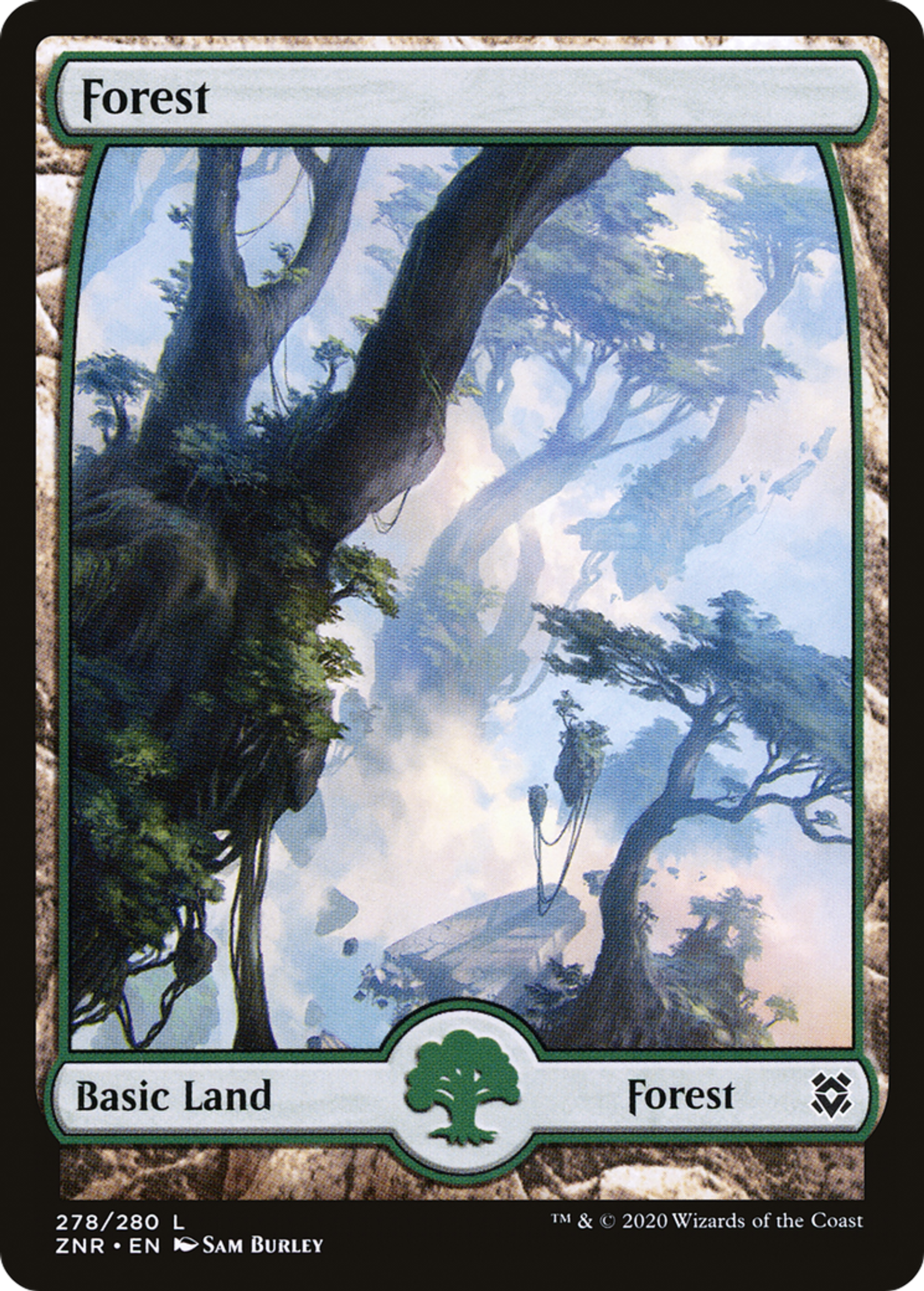 Forest — Zendikar Rising — Magic: The Gathering