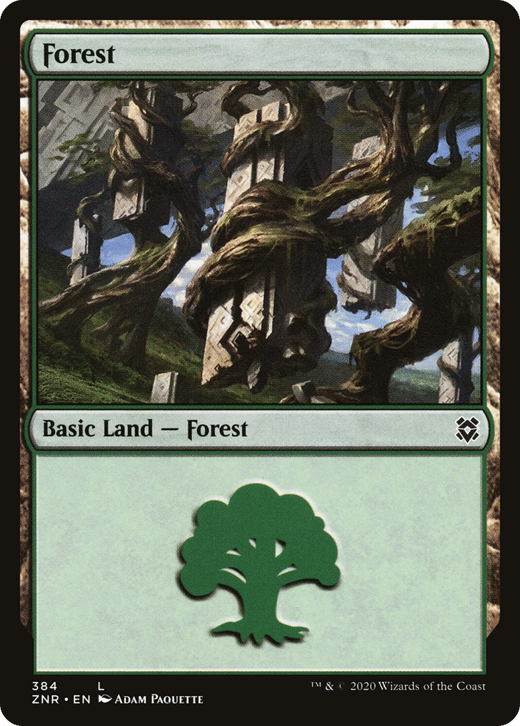 Forest — Zendikar Rising — Magic: The Gathering