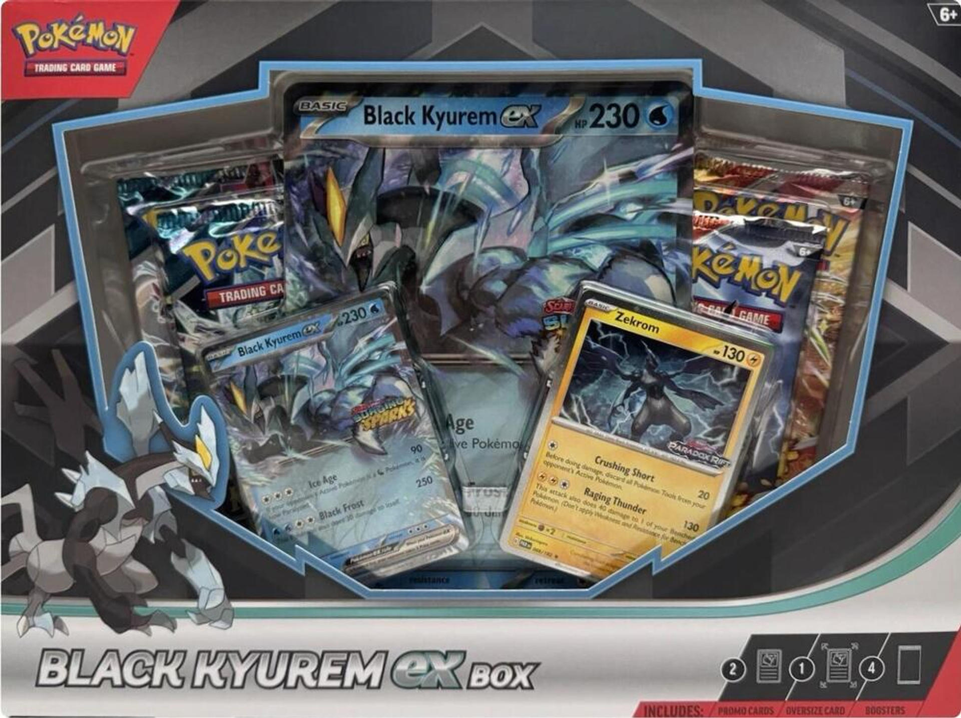 Black Kyurem ex Box from Miscellaneous Cards & Products - Pokémon