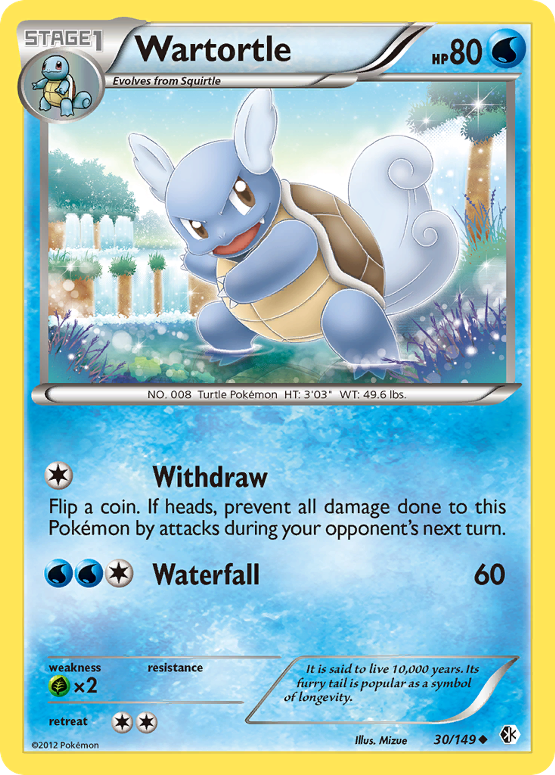 Wartortle — Boundaries Crossed — Pokémon