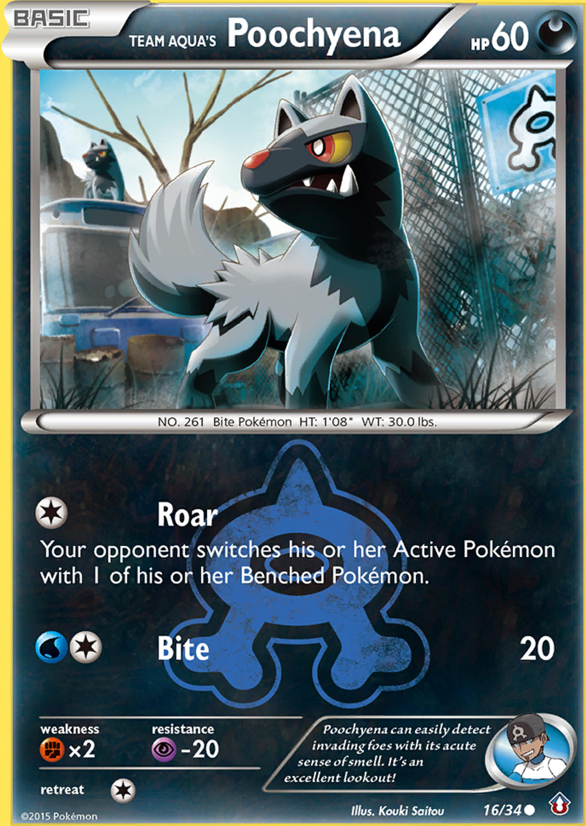 Team Aqua's Poochyena — Double Crisis — Pokemon