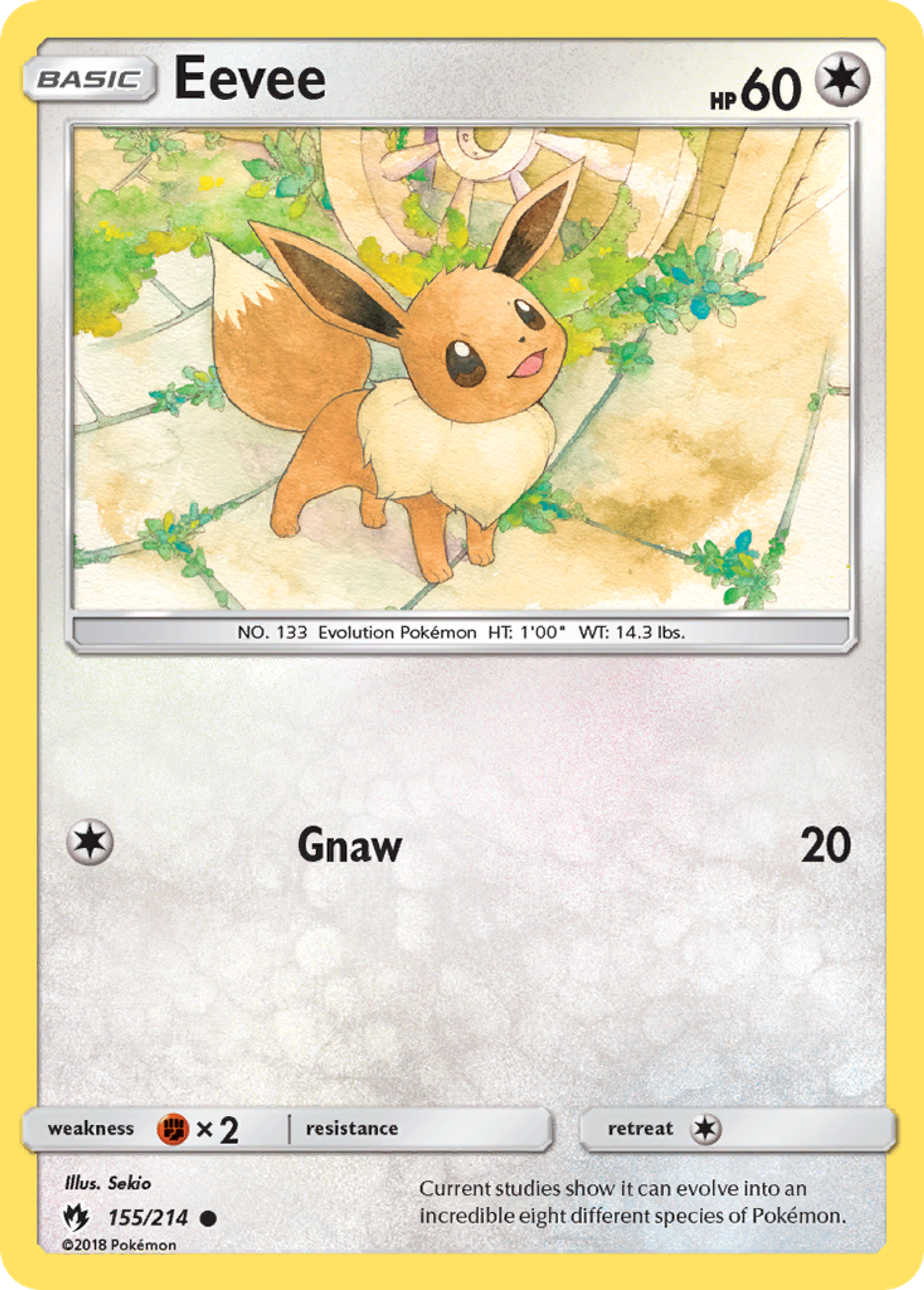 Eevee — SM - Lost Thunder — Pokemon
