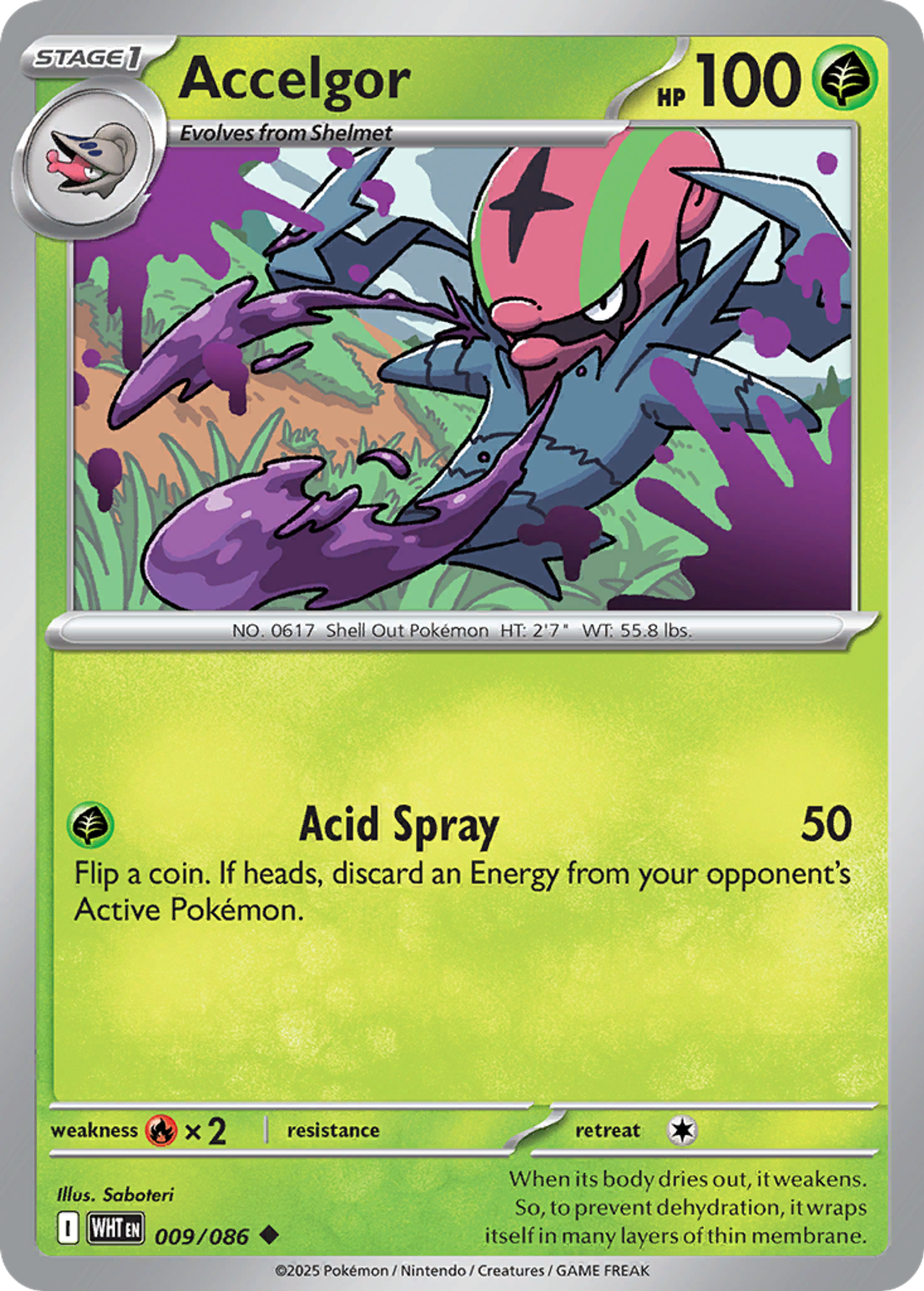 Accelgor — SV: White Flare — Pokemon