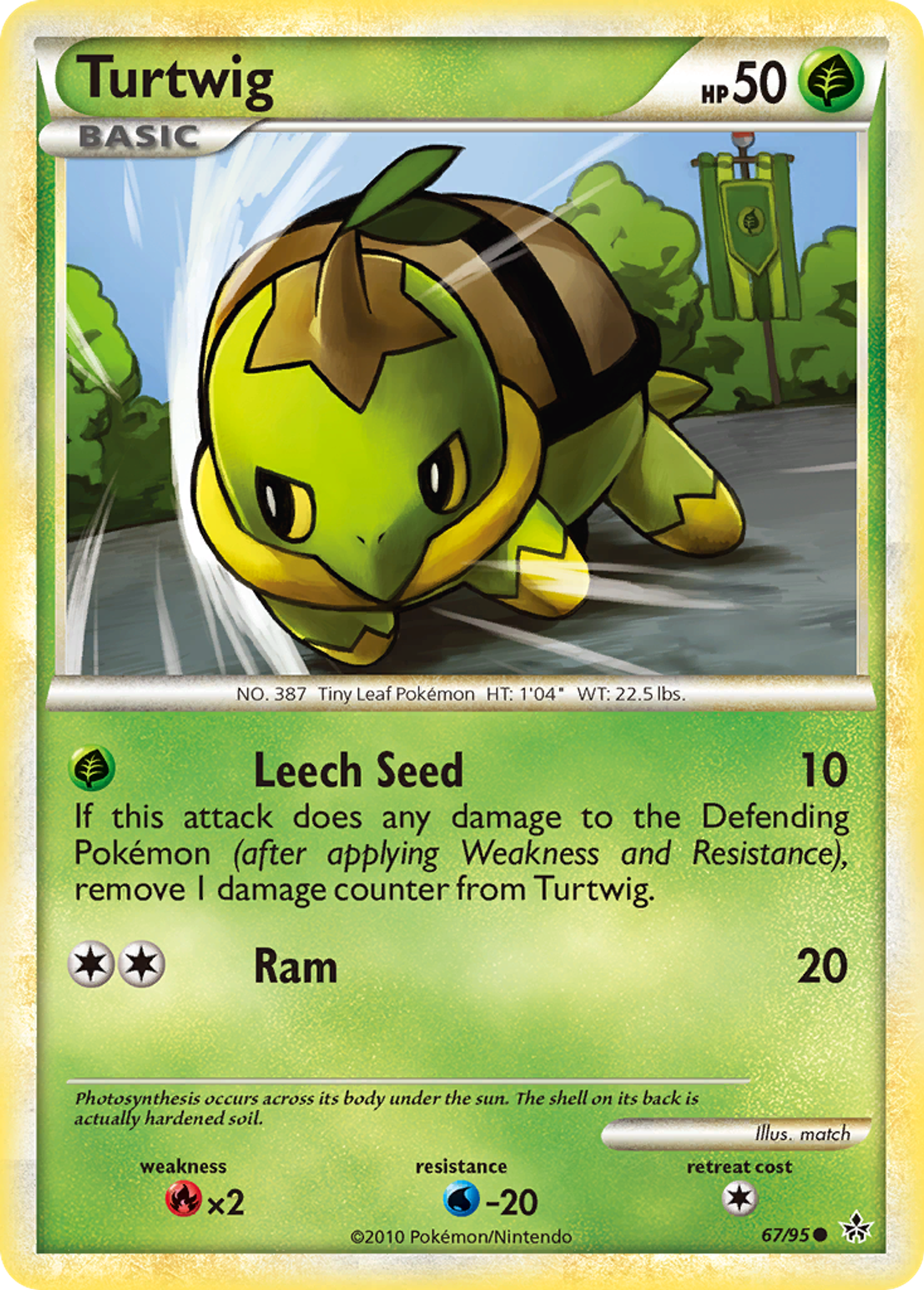 Turtwig — Unleashed — Pokemon