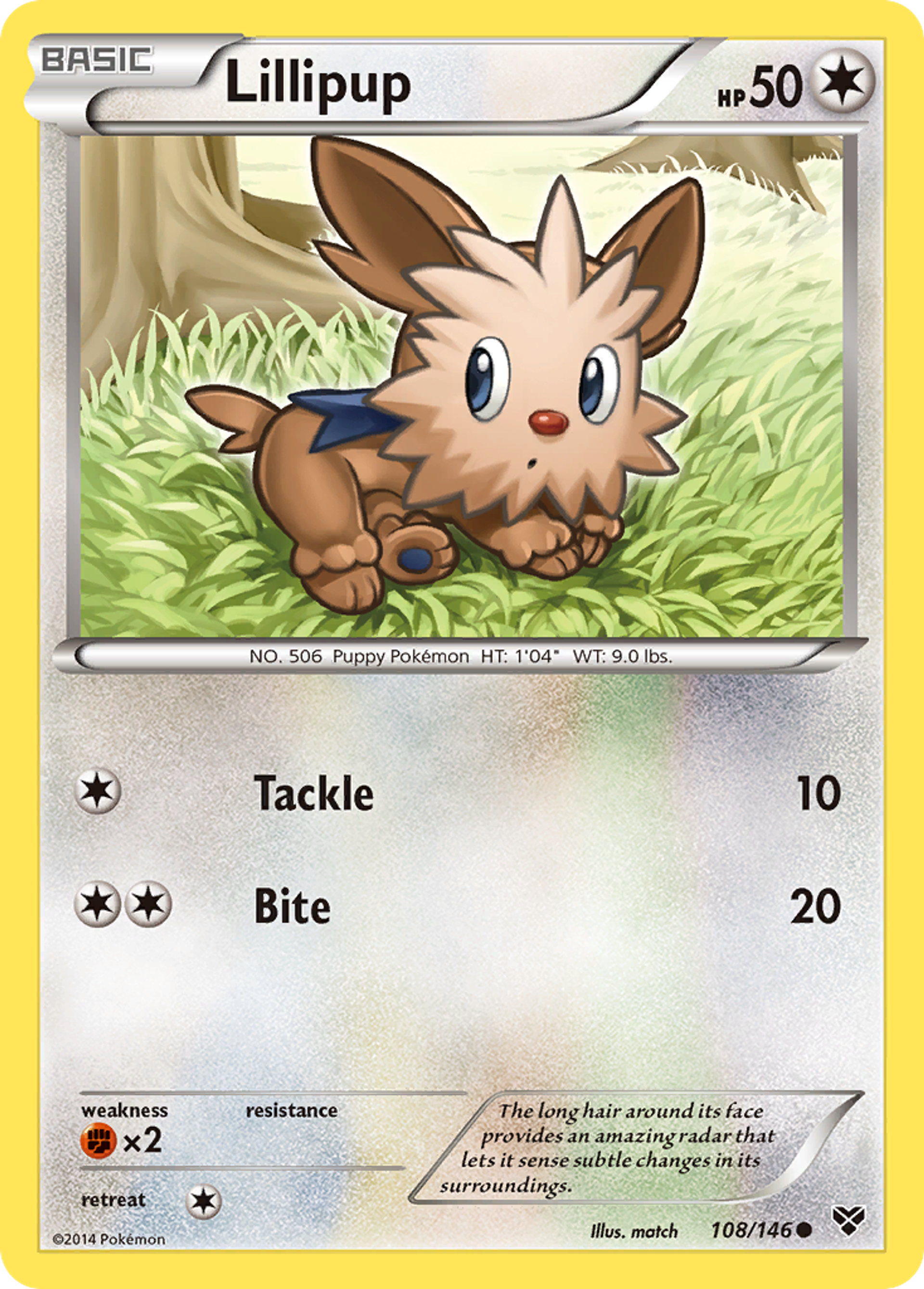 Lillipup — XY Base Set — Pokemon