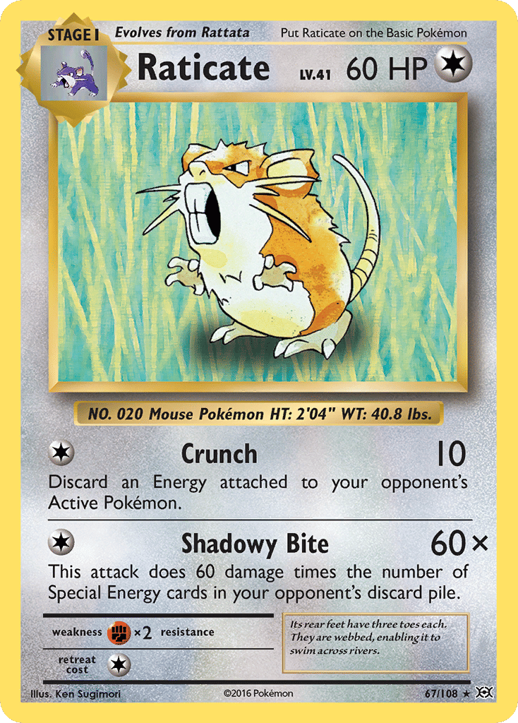 Raticate — XY - Evolutions — Pokemon