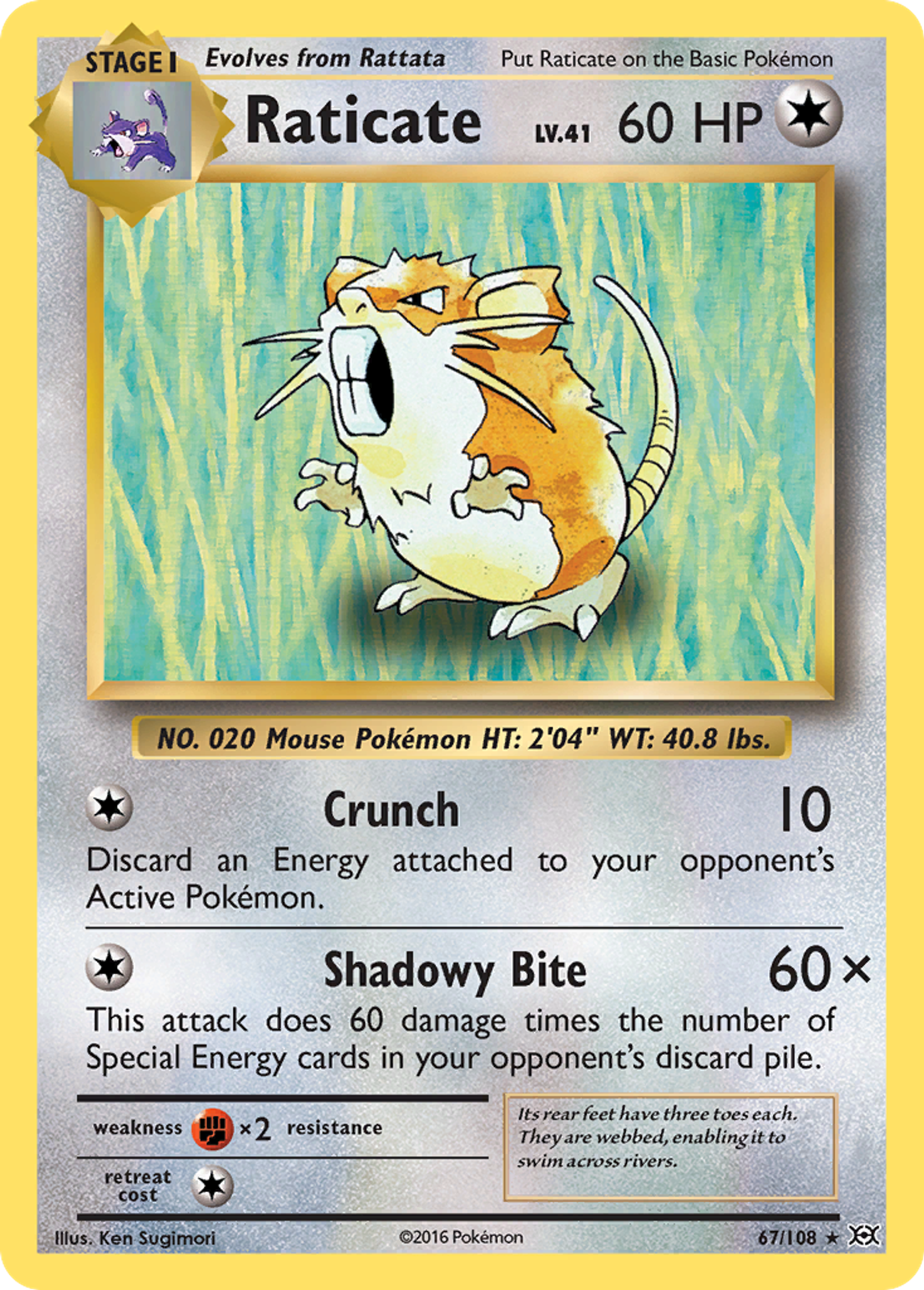 Raticate — XY - Evolutions — Pokemon