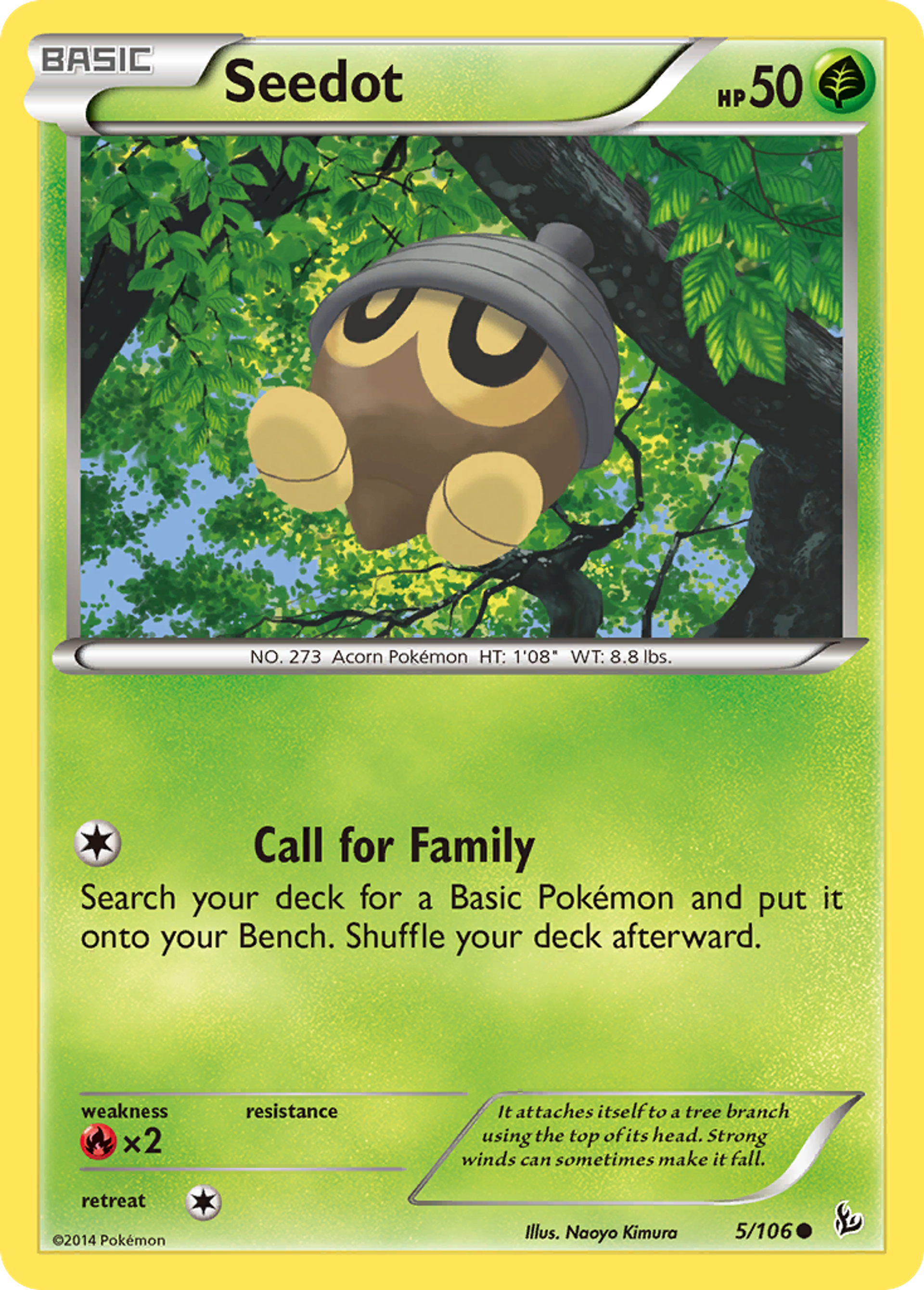 Seedot — XY - Flashfire — Pokemon