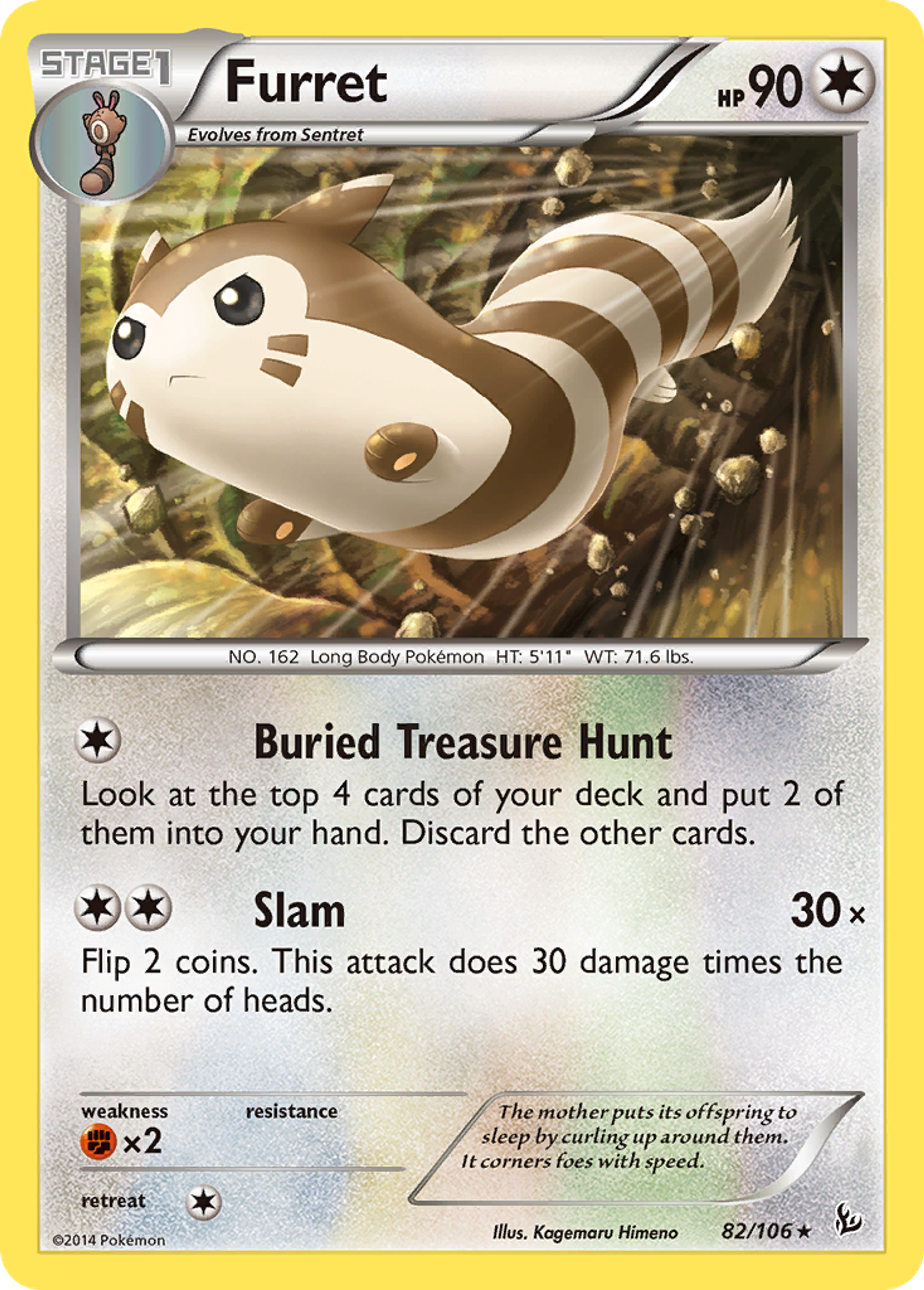 Furret — XY - Flashfire — Pokemon
