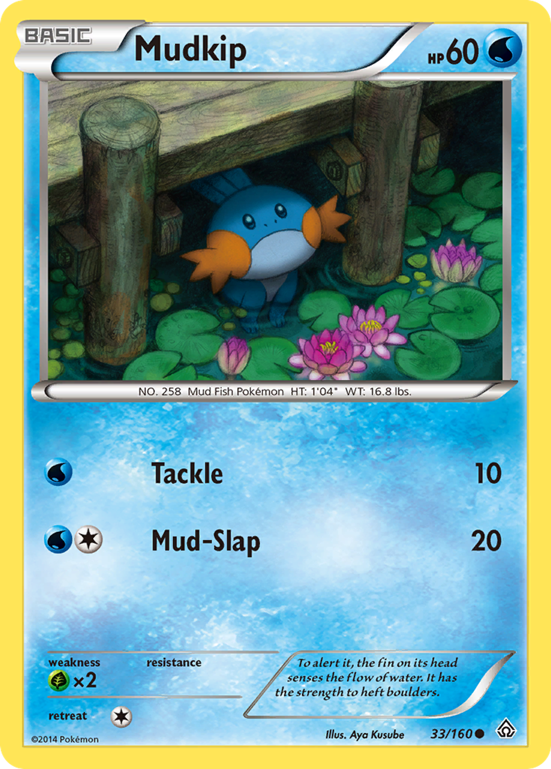 Mudkip — XY - Primal Clash — Pokemon