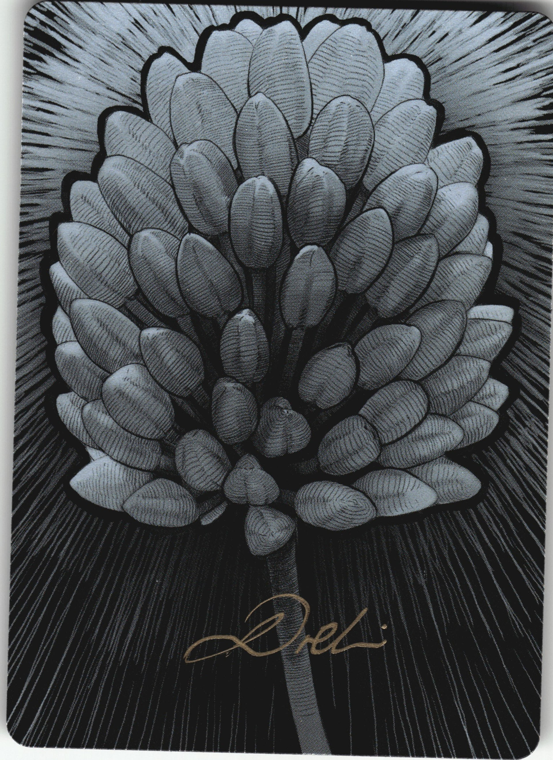 Light Clover Flower — Precious — Rise TCG