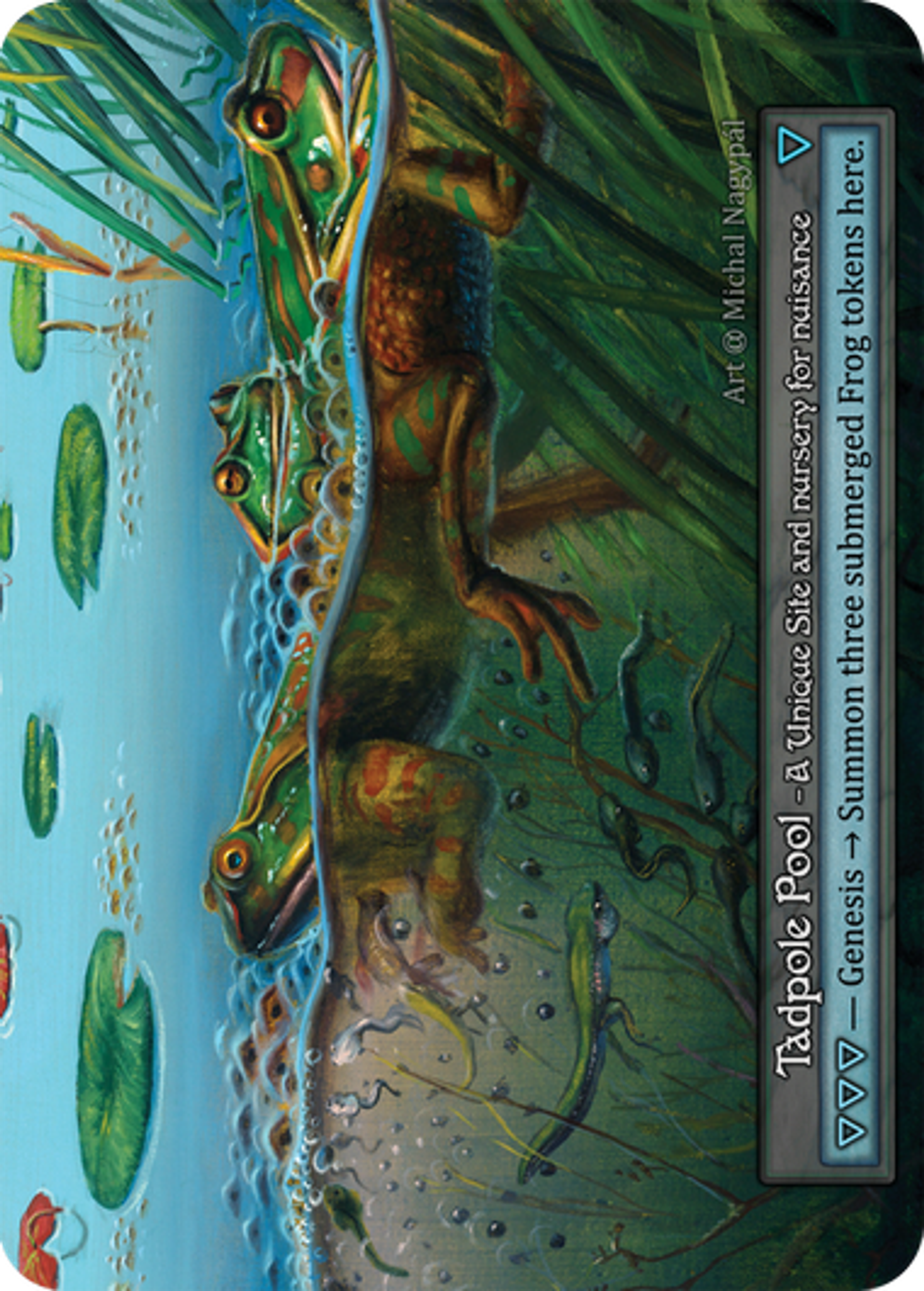 Tadpole Pool — Alpha — Sorcery: Contested Realm