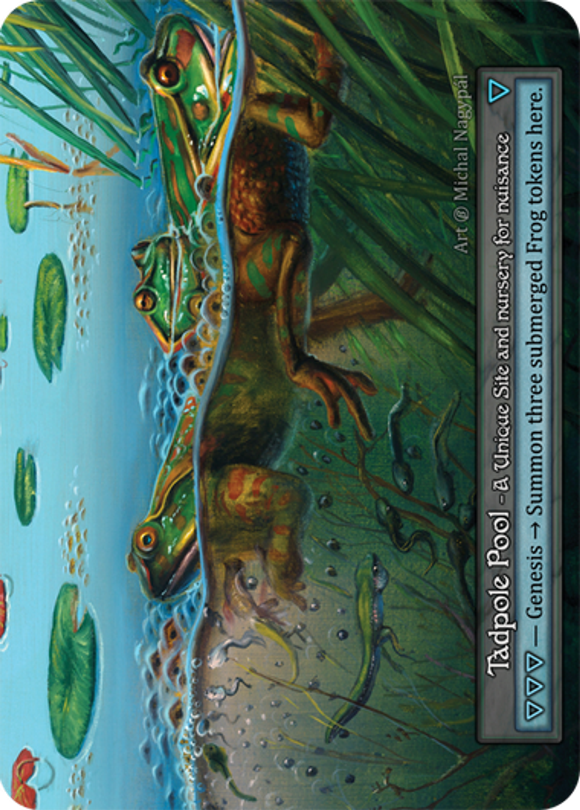 Tadpole Pool — Beta — Sorcery: Contested Realms