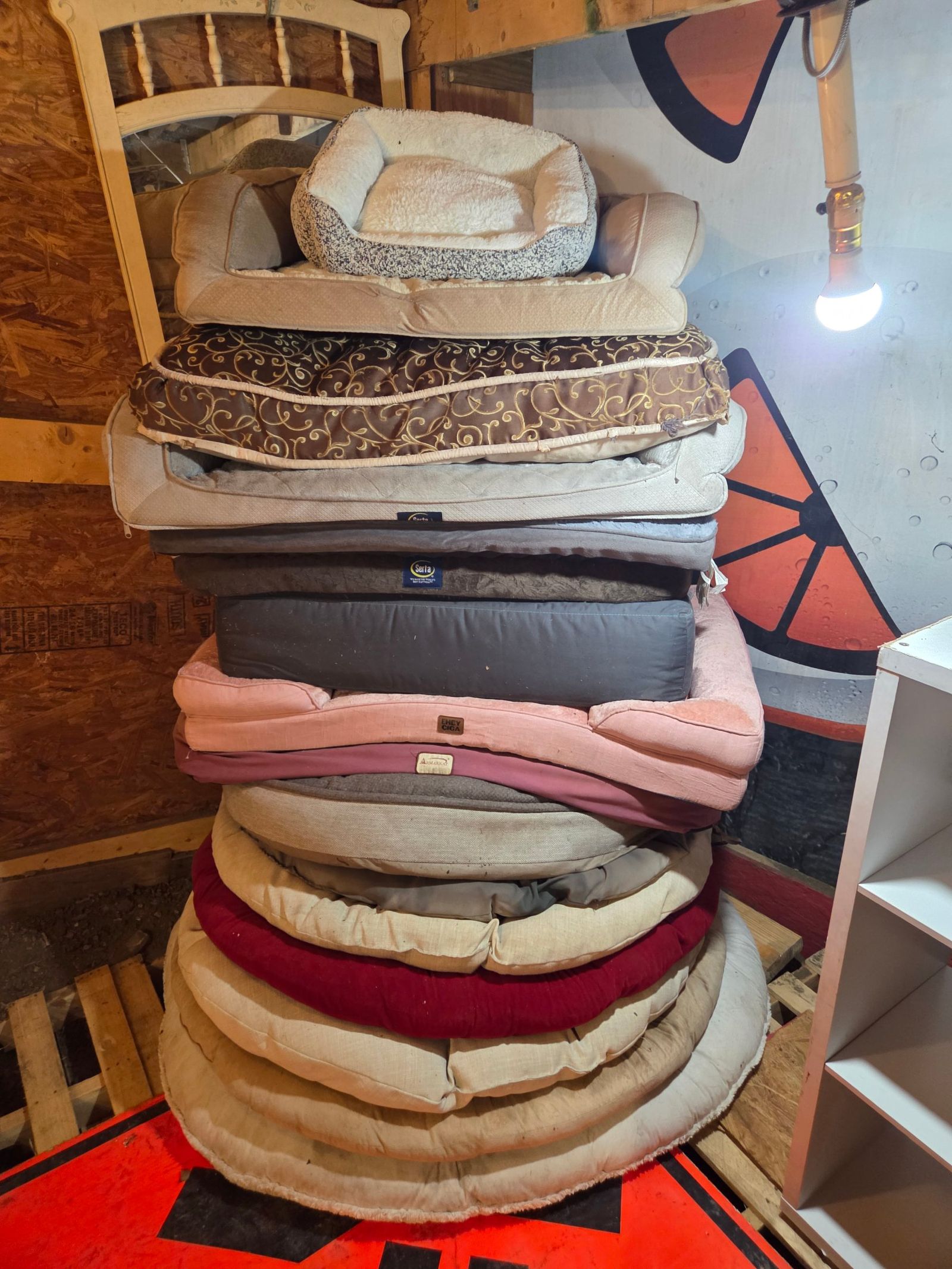 Dog beds small 14 medium 22, large 30.  Xl 35.  Xxl grey $40.  Dog blankets $9 ea — photo 6
