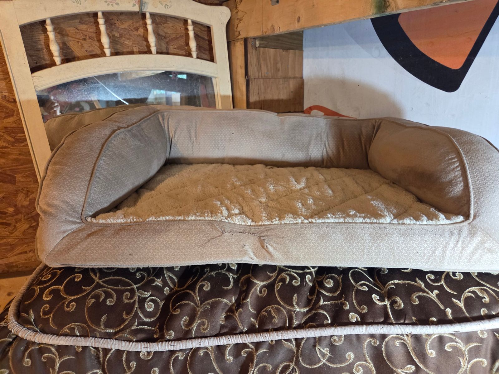 Dog beds small 14 medium 22, large 30.  Xl 35.  Xxl grey $40.  Dog blankets $9 ea — photo 5