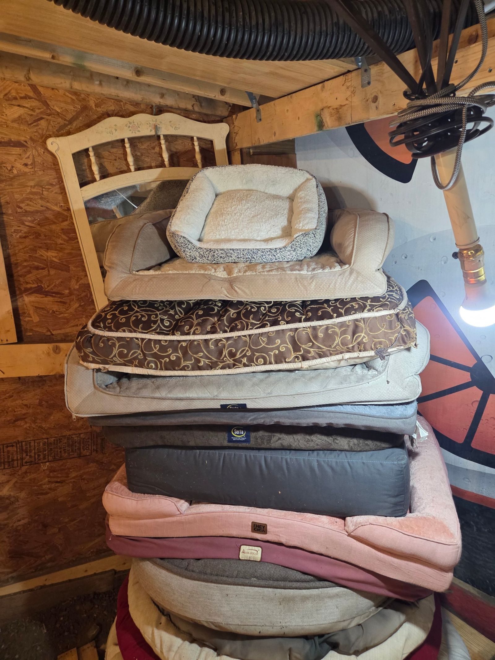 Dog beds small 14 medium 22, large 30.  Xl 35.  Xxl grey $40.  Dog blankets $9 ea — photo 4