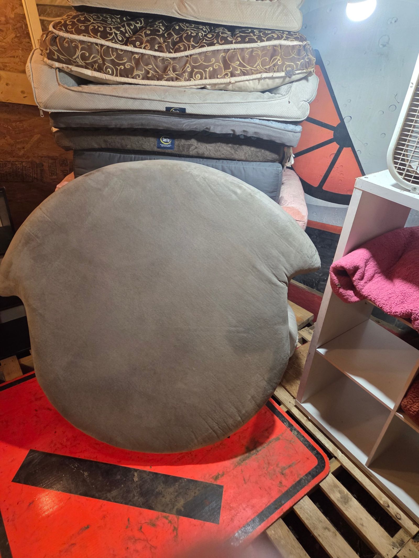 Dog beds small 14 medium 22, large 30.  Xl 35.  Xxl grey $40.  Dog blankets $9 ea — photo 3