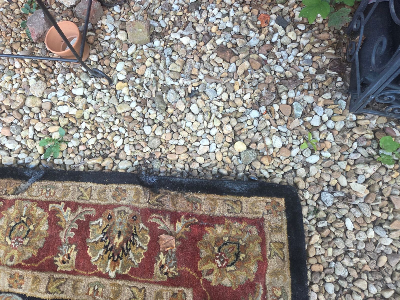 Large area rug with an ornate floral oriental-style pattern. The rug has a black center field with beige and gold floral motifs, surrounded by a wide red border with similar floral designs. The outer edge is finished in black. There is visible wear and fraying along one of the long edges. — photo 5