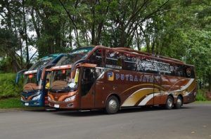 scania bus