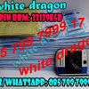 white dragon