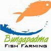Bungapadma Fish Farming