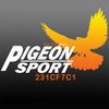 Pigeon Sport