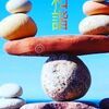 Harmonis Energi Orgonite