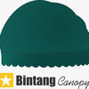 Bintang Canopy