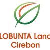 Lobunta cirebon