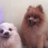 Img 20180114 wa0006