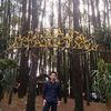 Picture type large20181217 14676 1hqklrf
