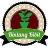 Bintang Bibit