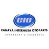 CAHAYA INTERNUSA