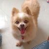 Picture type large20190508 21110 cvc9mp