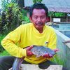 cahaya pembibitan ikan