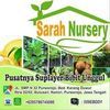 sarah maulida nursery