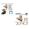Insole+sandal custome