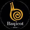 baqicot_store as01