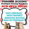 Pondok Kucing Surabaya