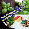 Penggemuk Badan