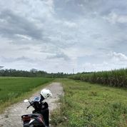 Kavling Murah Lokasi Mendalan 2B Wagir Malang di Kota Malang, Jawa Timur