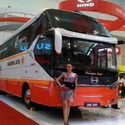 Harga Cassis BigBus Hino RK 260 RN 285 Bus Pariwisata