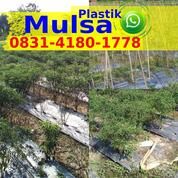 Tempat Ju4l Plastik Mulsa (31124484) di Kota Yogyakarta