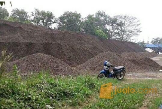 Cangkang Sawit Palm Kernel Shell Kab Ketapang Jualo