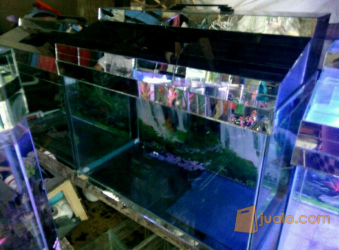 Aquarium Ukuran 60x30x40 Pxlxt Penutup Aquariumnya Fullset Pokoknya Tinggal Pakai Jakarta Barat Jualo