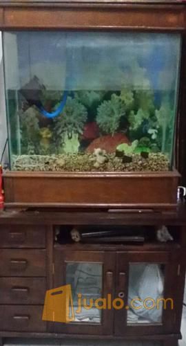 Aquarium Bekas  Tangerang Selatan Jualo